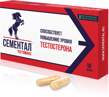 Сементал Бустер